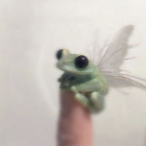 Meet your Posher, Aysel